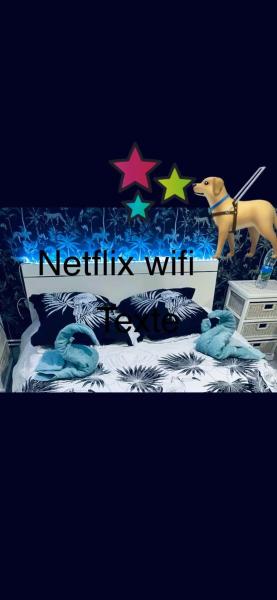 Maison atypique avec un grand terrain !animaux bienvenus !wifi netflix écran plat 4k